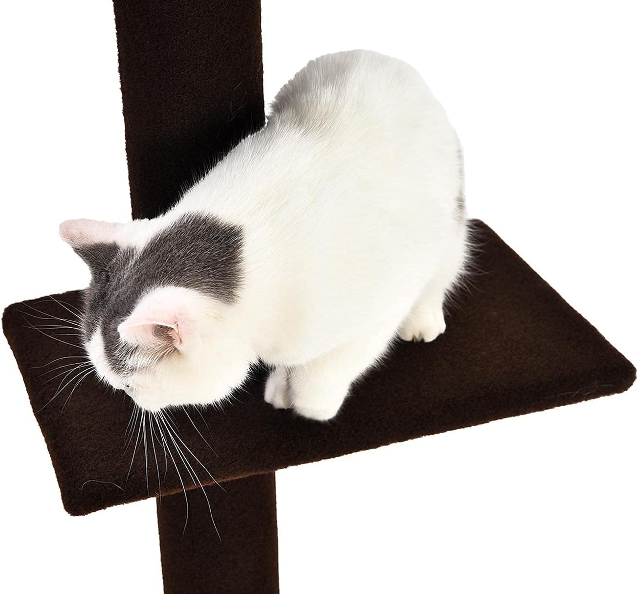 Cat Craft Floor to Ceiling Cat Tree Tower with 4-Tiers for Climbing, Adjustable to Fit 7.5-9 Foot Tall Ceiling, Modern Cat Tree for Indoor Cats Large, Gray